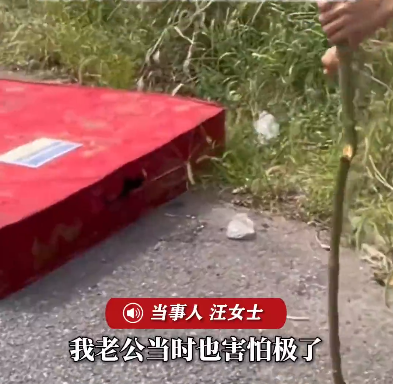 床底天天“沙沙”响没当回事，开门见床上盘着5斤重大蛇，当事人：整张床垫都扔了；家中进蛇或被蛇咬，千万不要这样做
