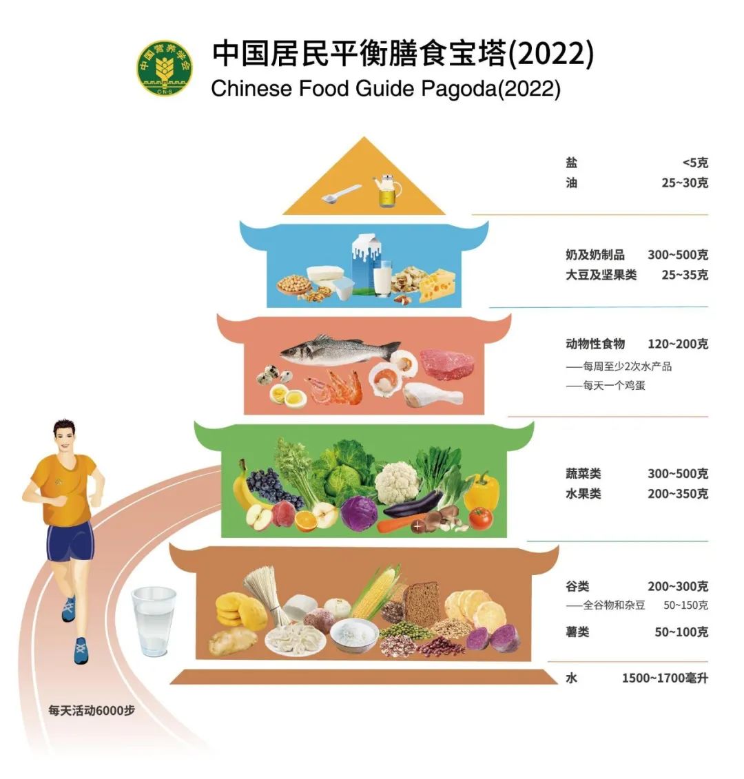 读懂“膳食宝塔” :学生餐盘“3:2:1”搭配法,简单又实用