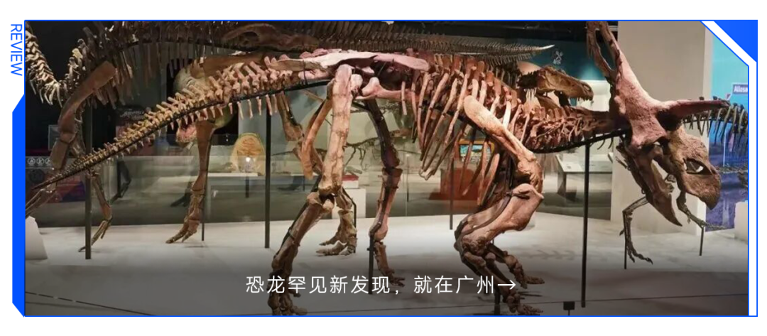 全球首创！广州高校团队自研胃癌手术AI导航系统，破解两大难题