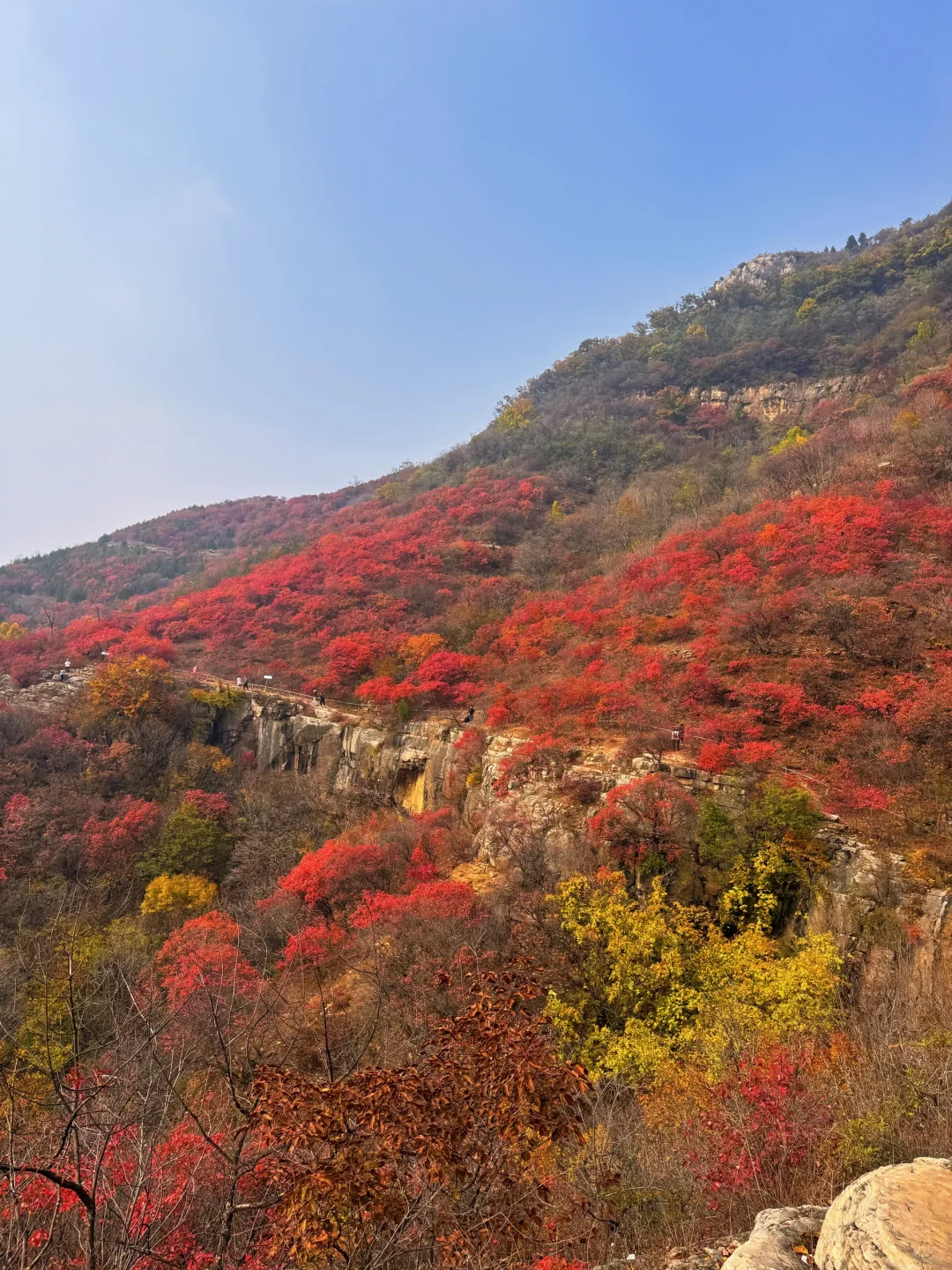 国庆假期，去山东看一场漫山红遍~