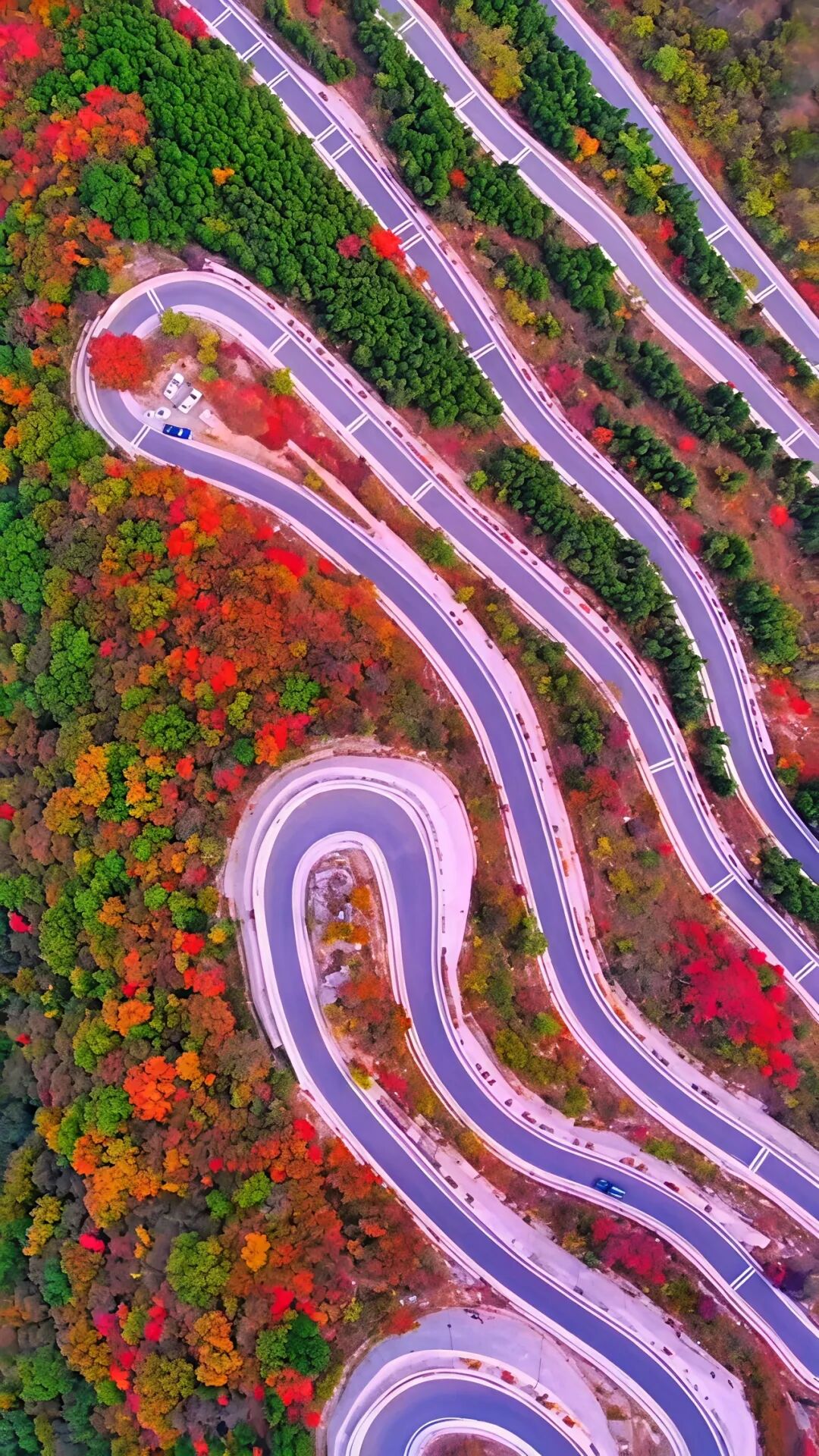 国庆假期，去山东看一场漫山红遍~