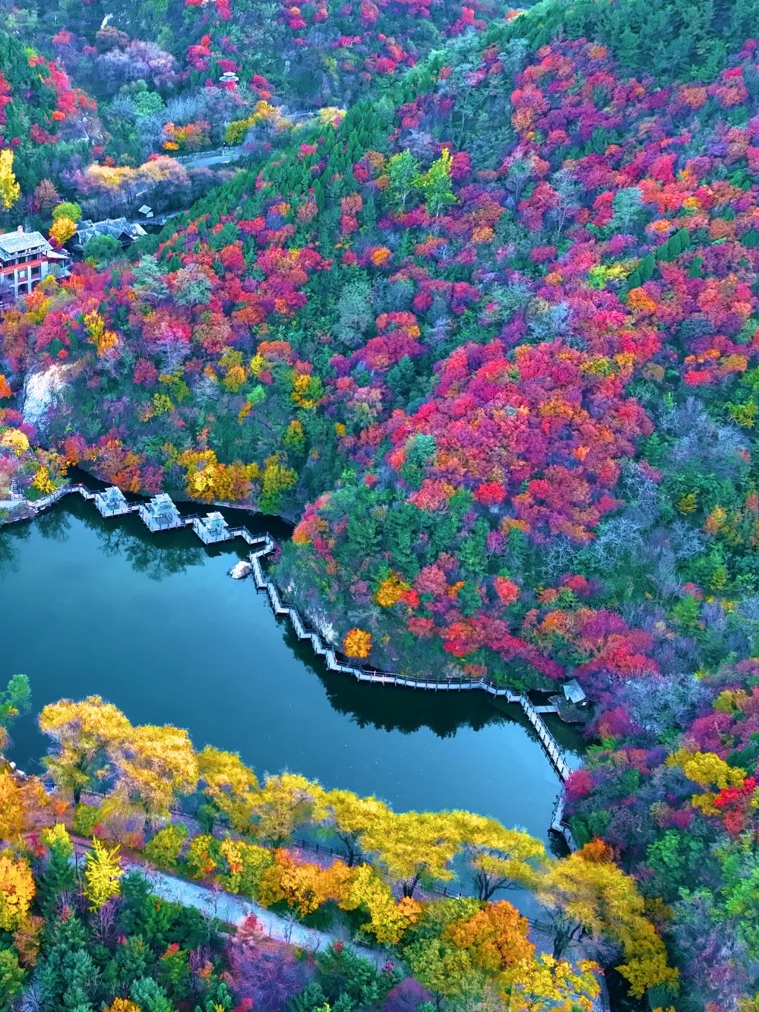 国庆假期，去山东看一场漫山红遍~