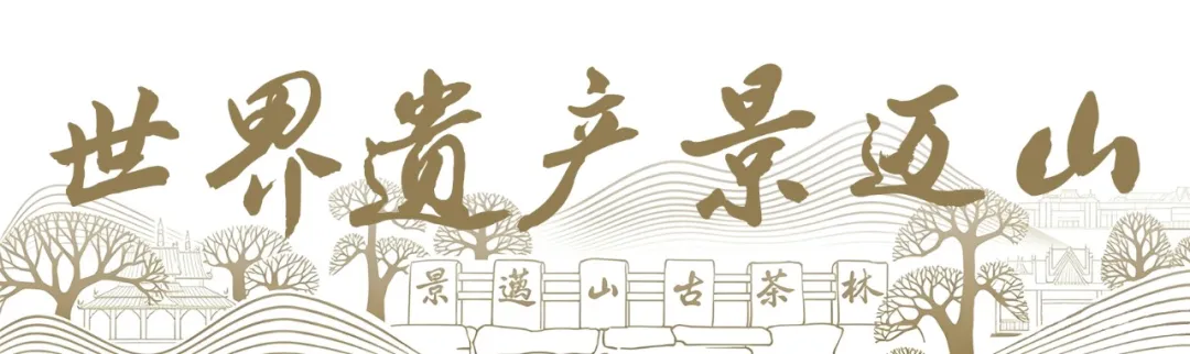 跨越山海的文明相逢！“景迈回响——人与山的千年契约”特展走进中国大运河博物馆
