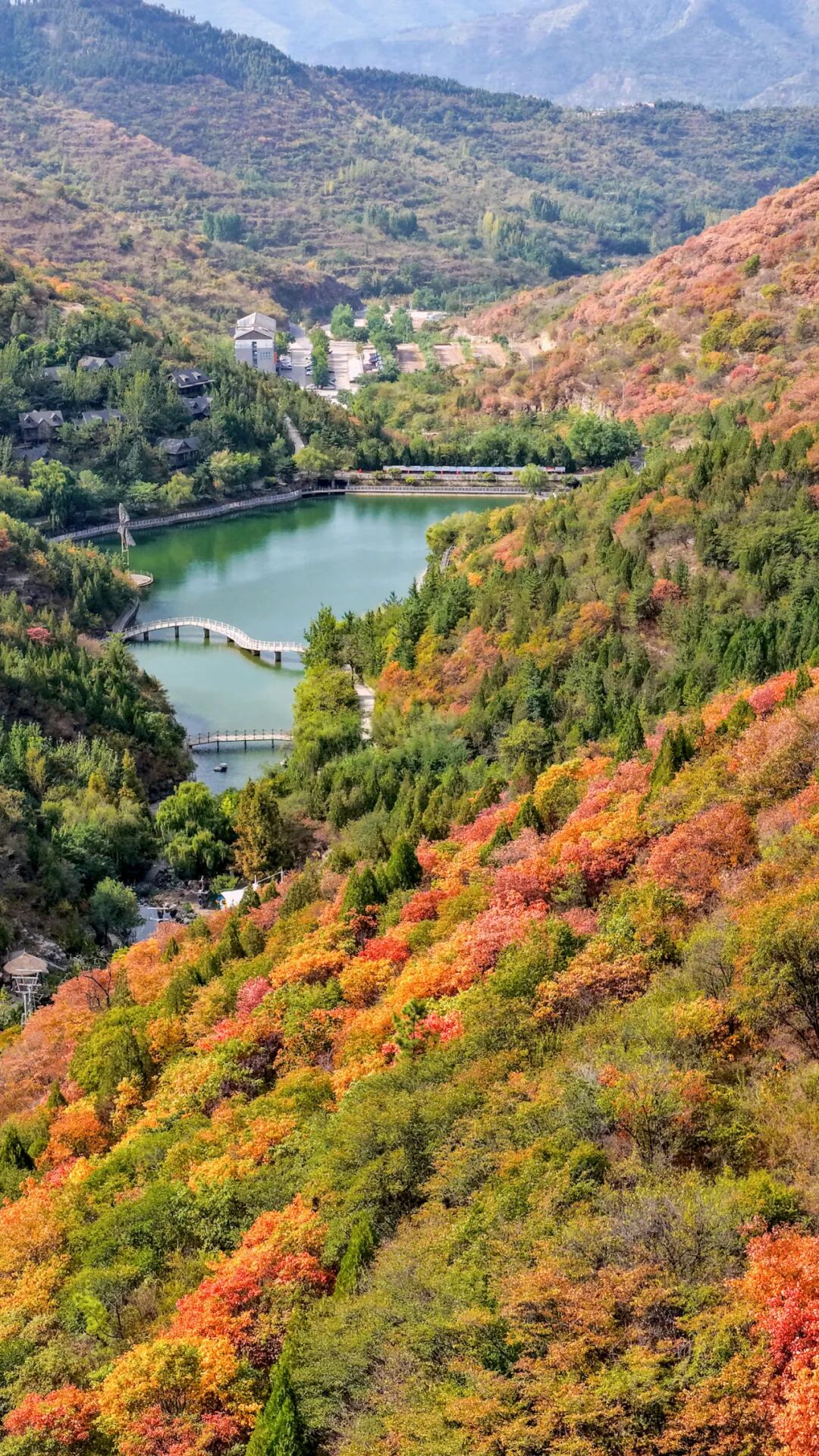 国庆假期，去山东看一场漫山红遍~