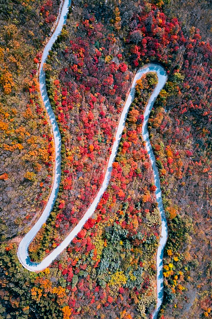 国庆假期，去山东看一场漫山红遍~