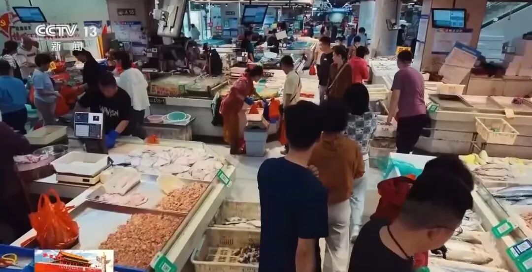 这座海滨小城把“移动的家”开向全球