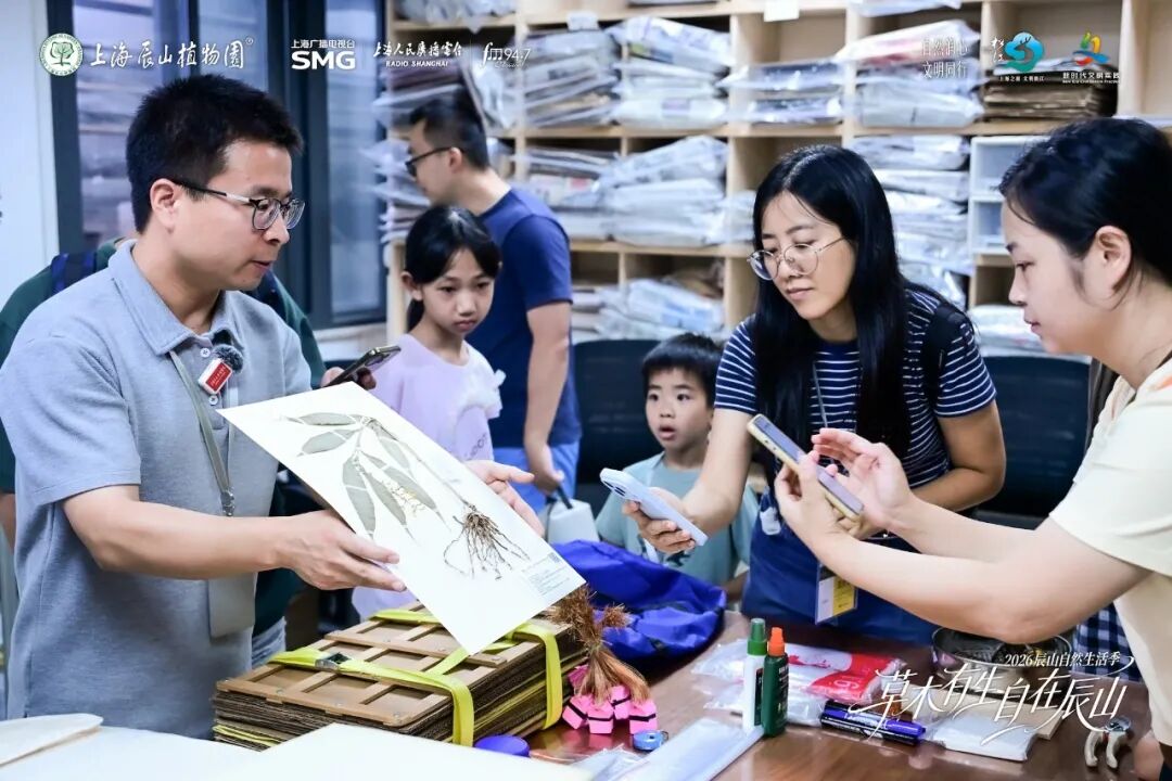 赏花海、听音乐、逛市集！2026辰山自然生活季开启，“25件小事”解锁植物园新玩法