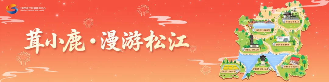 赏花海、听音乐、逛市集！2026辰山自然生活季开启，“25件小事”解锁植物园新玩法