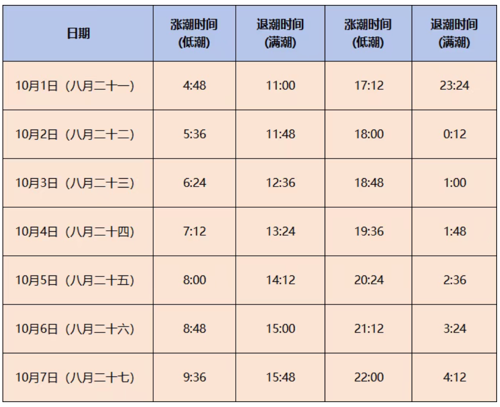 赶海、逛古城！撸串、看演唱会！还有一大波优惠！日照这些地方，藏着超多惊喜……