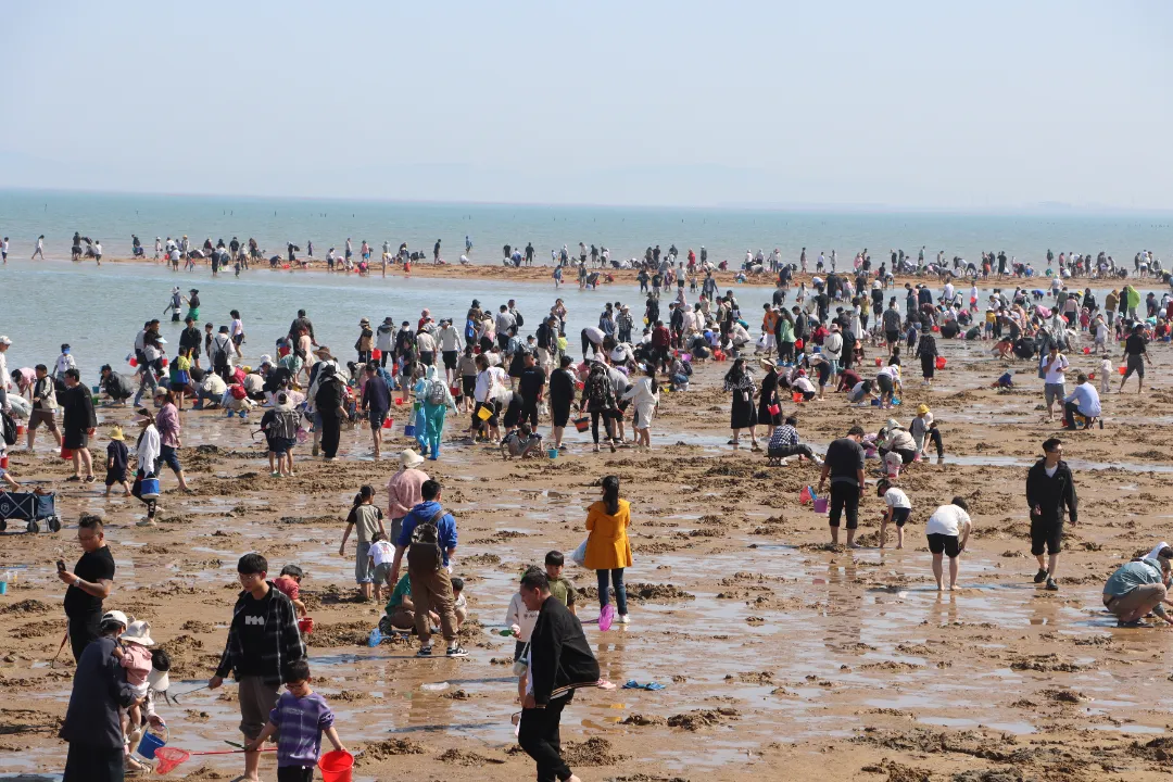 赶海、逛古城！撸串、看演唱会！还有一大波优惠！日照这些地方，藏着超多惊喜……