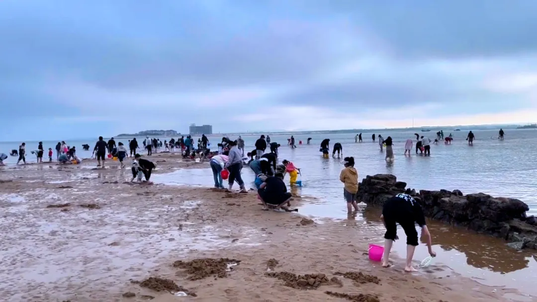 赶海、逛古城！撸串、看演唱会！还有一大波优惠！日照这些地方，藏着超多惊喜……