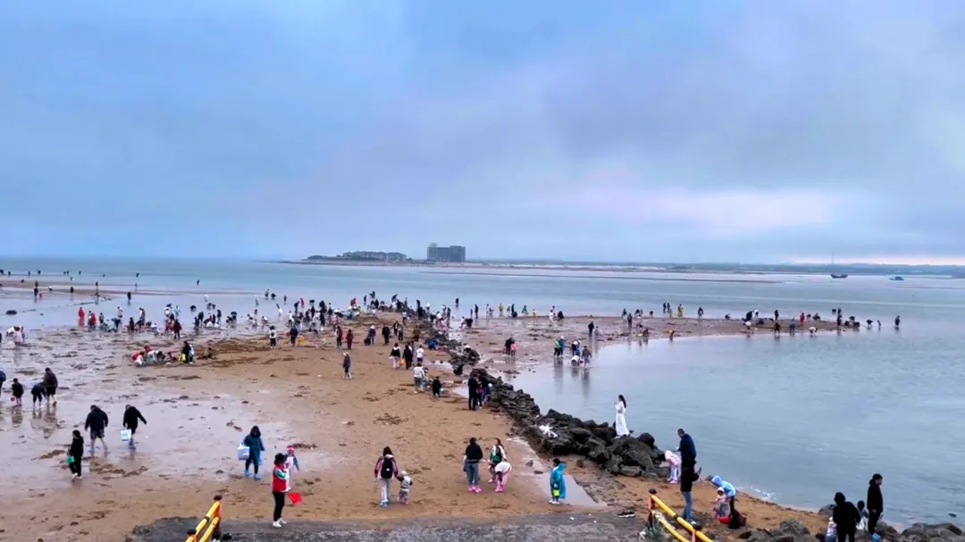 赶海、逛古城！撸串、看演唱会！还有一大波优惠！日照这些地方，藏着超多惊喜……