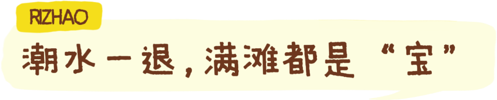 赶海、逛古城！撸串、看演唱会！还有一大波优惠！日照这些地方，藏着超多惊喜……