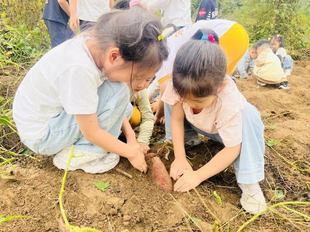 度国庆享金秋！十一假日，菏泽文旅消费市场活力满盈，热气腾腾