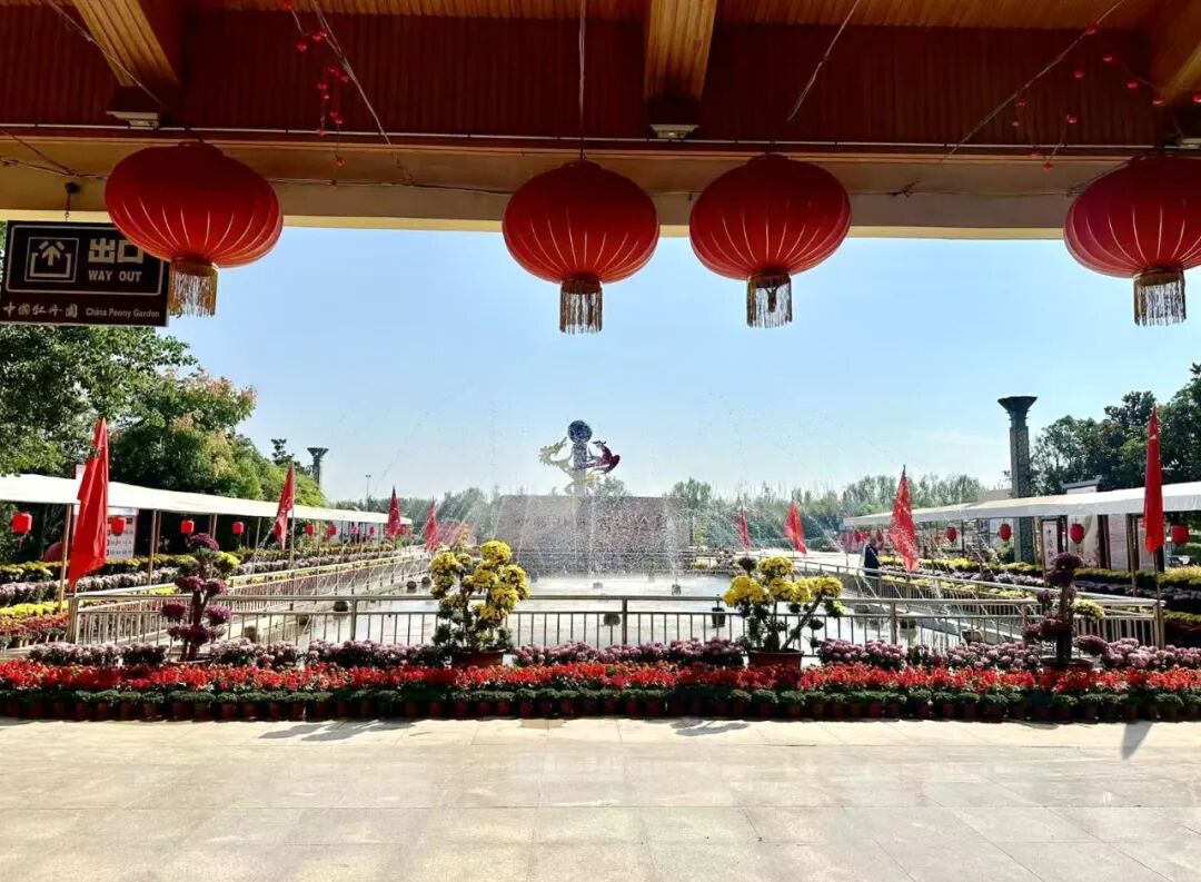 度国庆享金秋！十一假日，菏泽文旅消费市场活力满盈，热气腾腾