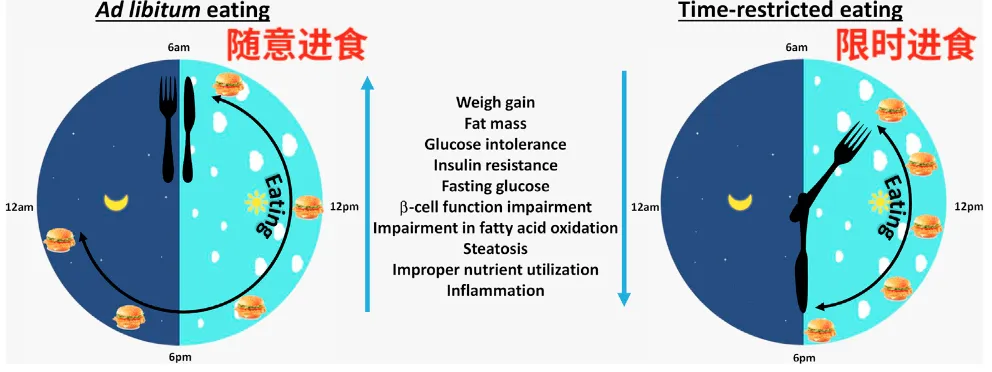 这些保持代谢旺盛的小技巧，让你想胖都难