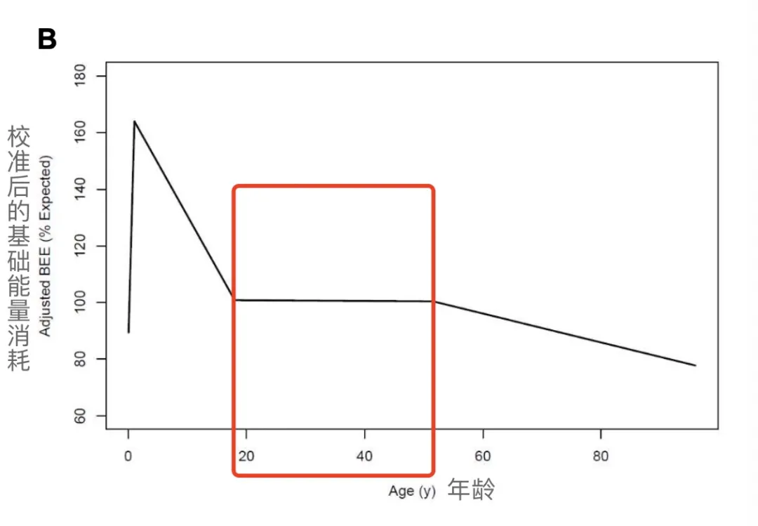 这些保持代谢旺盛的小技巧，让你想胖都难