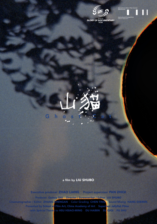 IDF重磅｜“纪录之光”展播单元入选片单公布