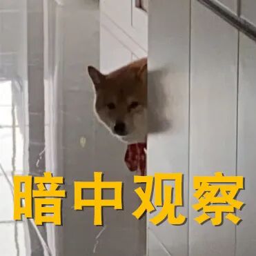 台风“蔷琵”或加强为超强台风，最新路径预报！厦门接下来天气……