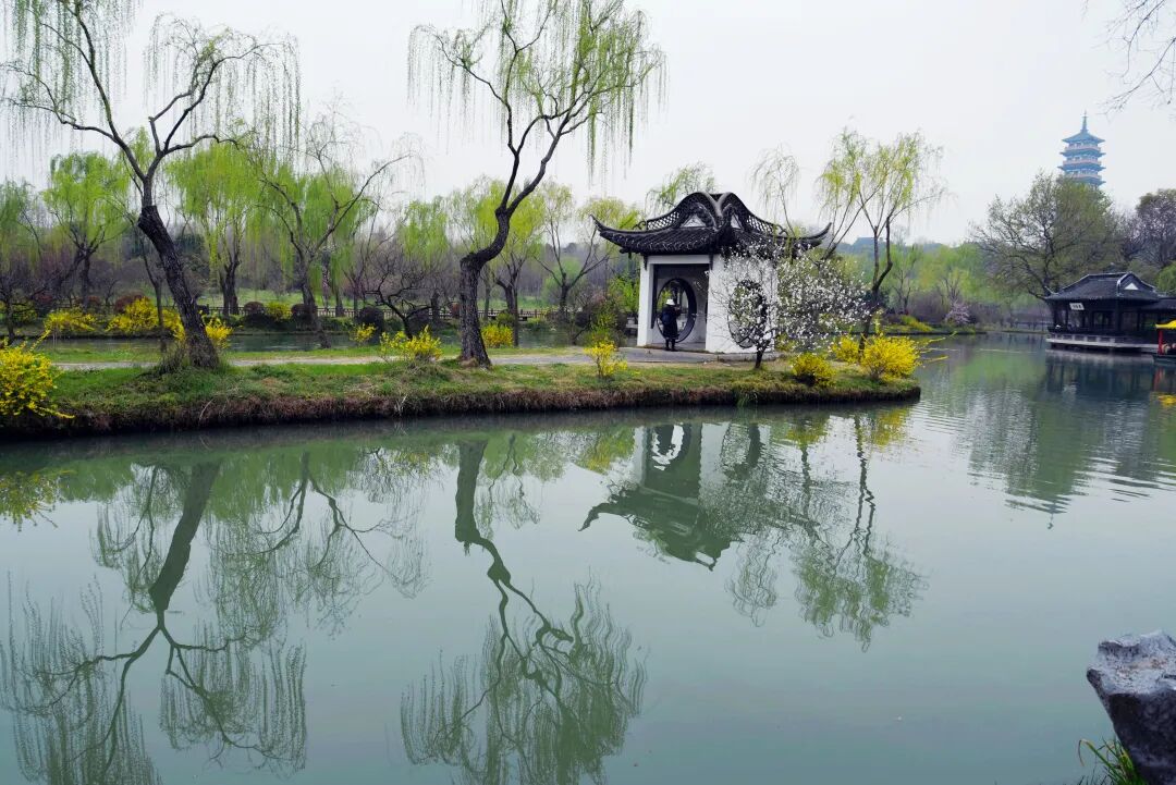《人造景观》作品分享(二)