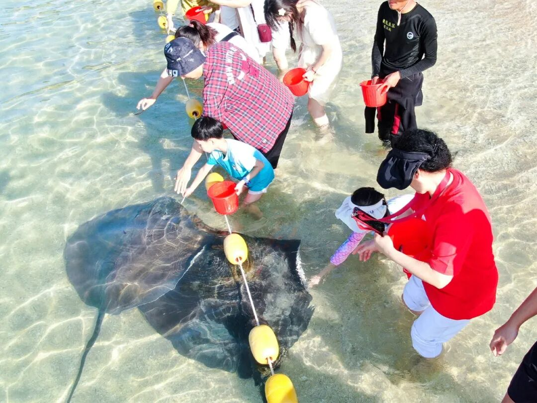 天凉了，来海南过个暖秋