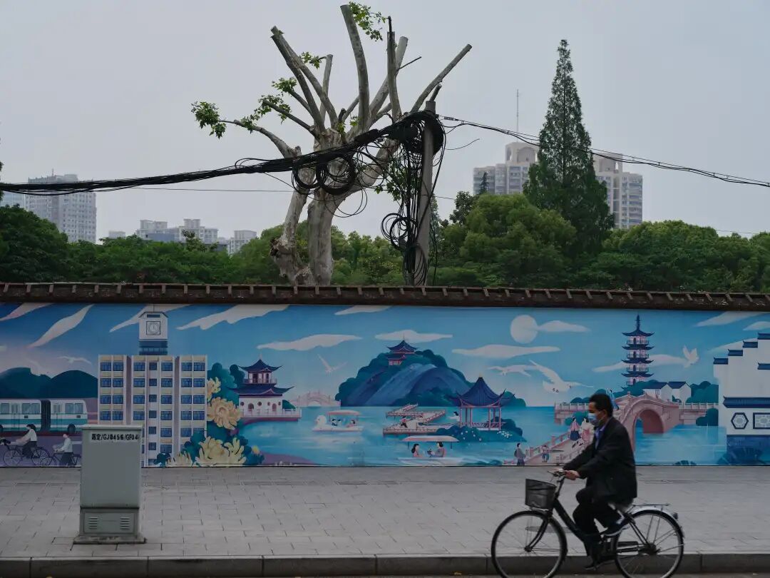 《人造景观》作品分享(二)
