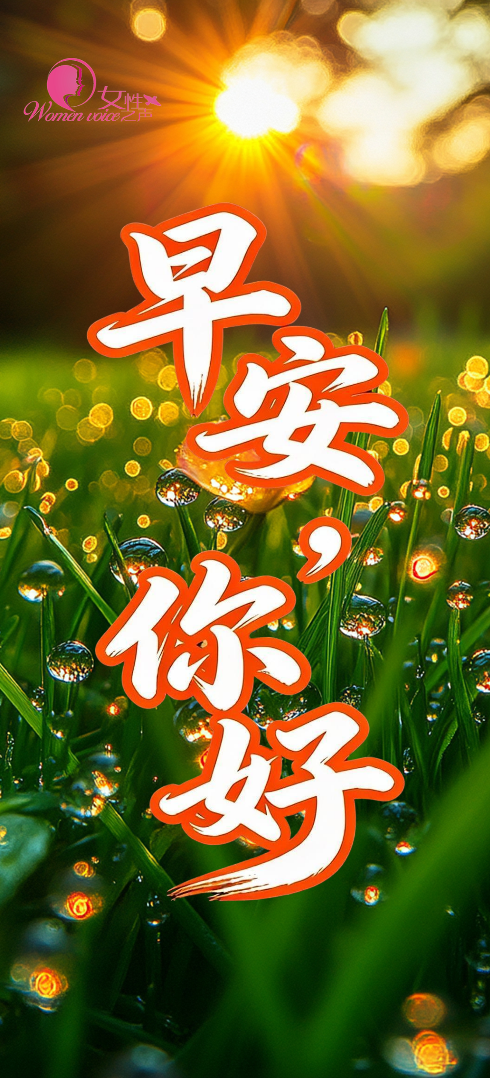暴雨、雨夹雪！新一股强冷空气来袭，部分地区降温超10℃；中国航展门票开售在即；早餐喝牛奶还是酸奶好？| 明天要知道