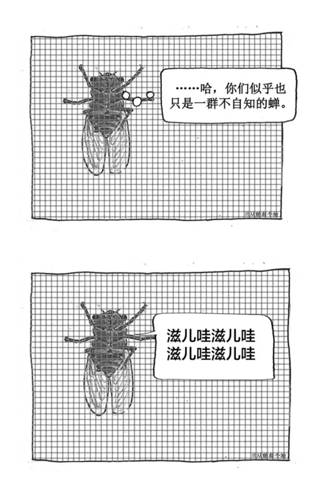 一只蝉忽然想到了生命