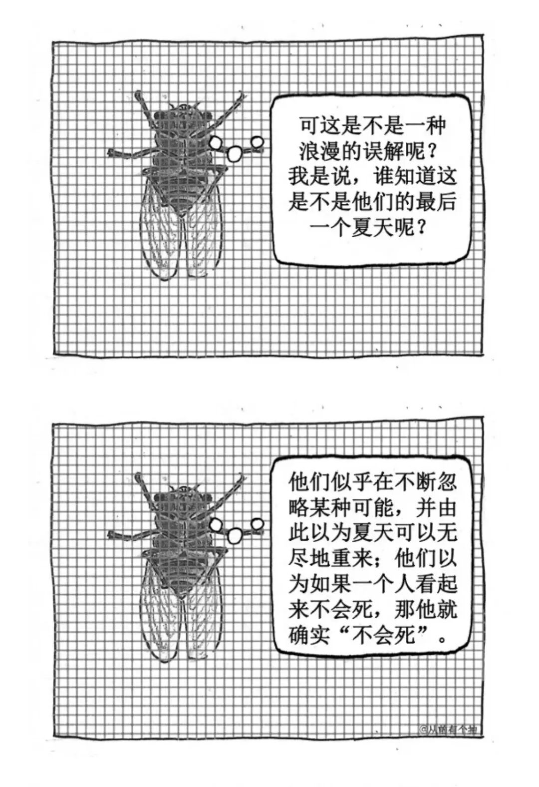一只蝉忽然想到了生命
