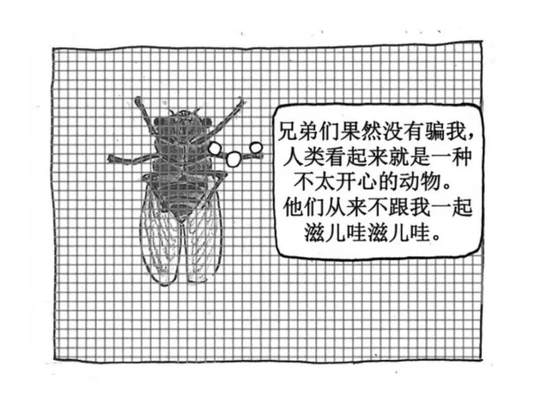 一只蝉忽然想到了生命