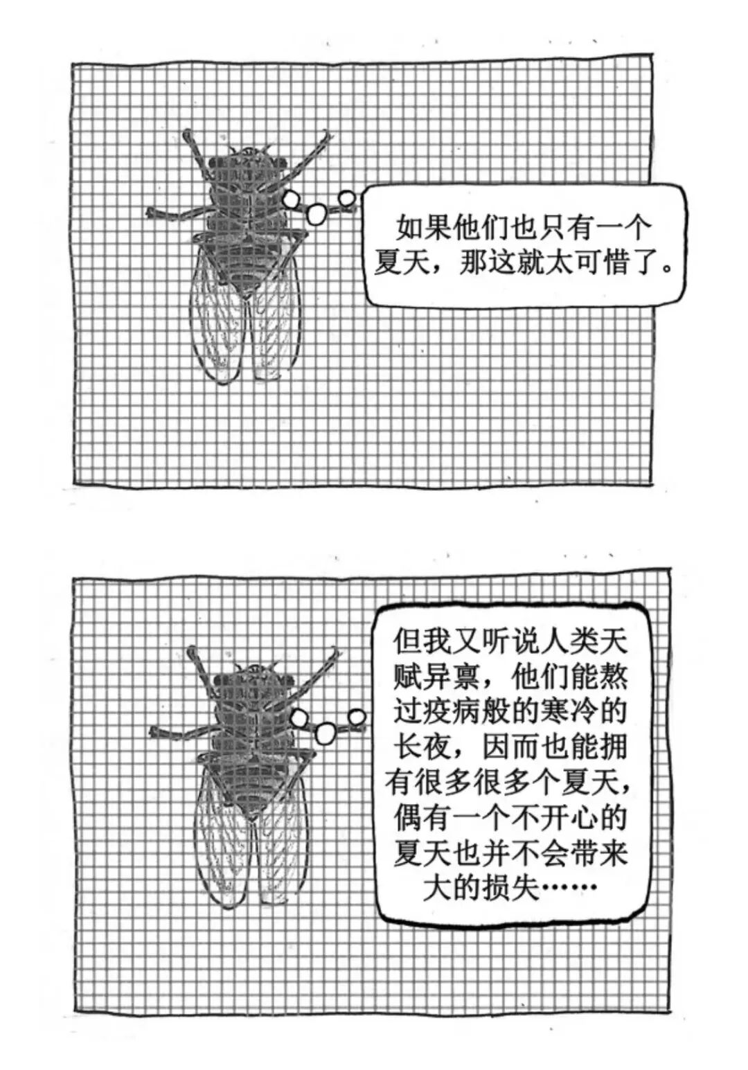 一只蝉忽然想到了生命