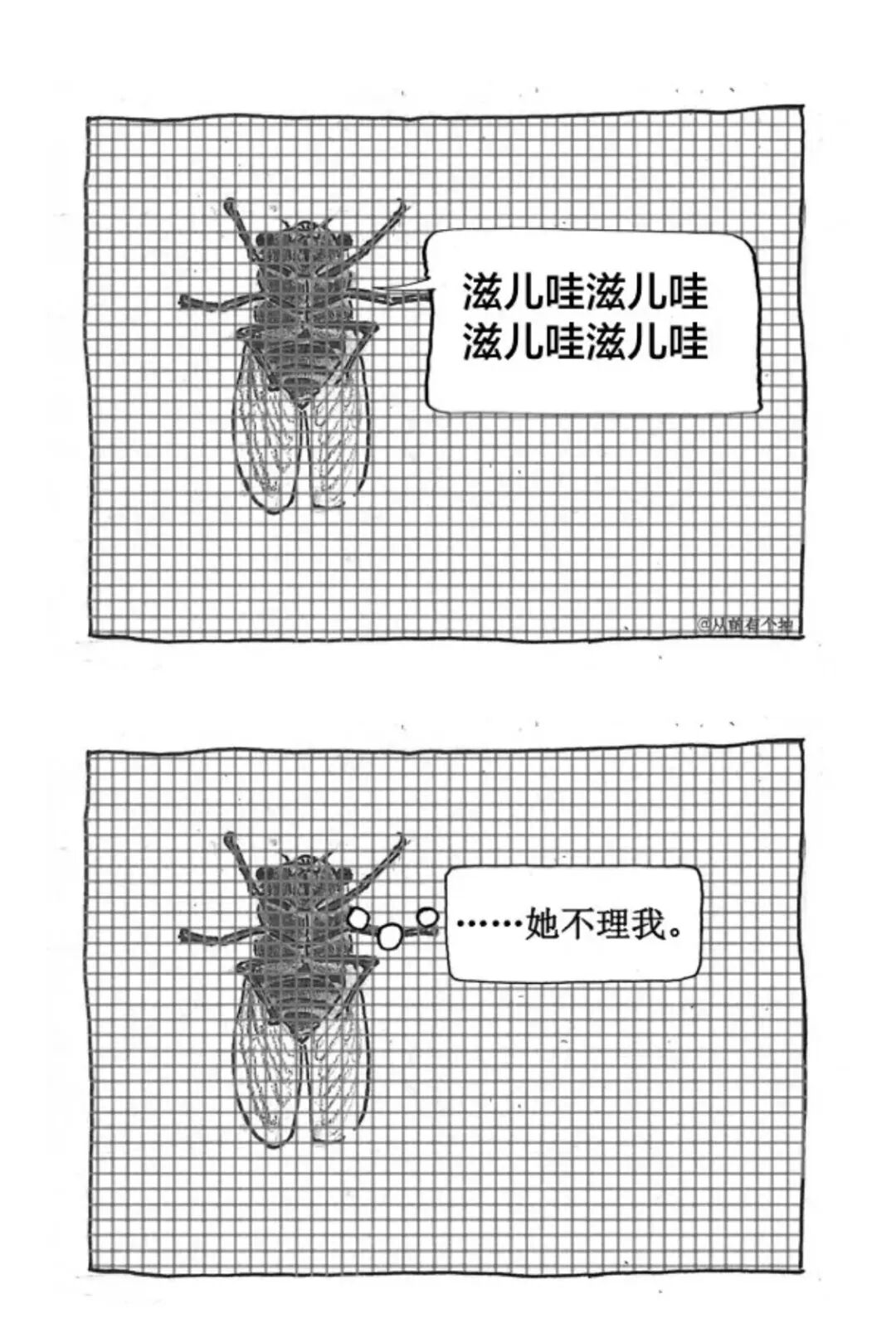 一只蝉忽然想到了生命