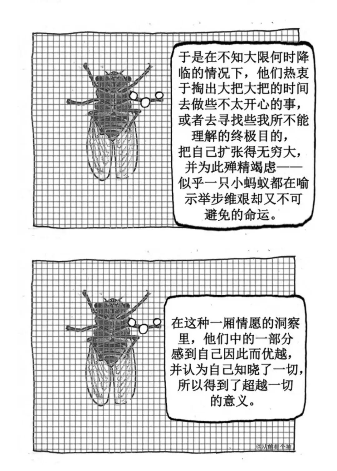 一只蝉忽然想到了生命