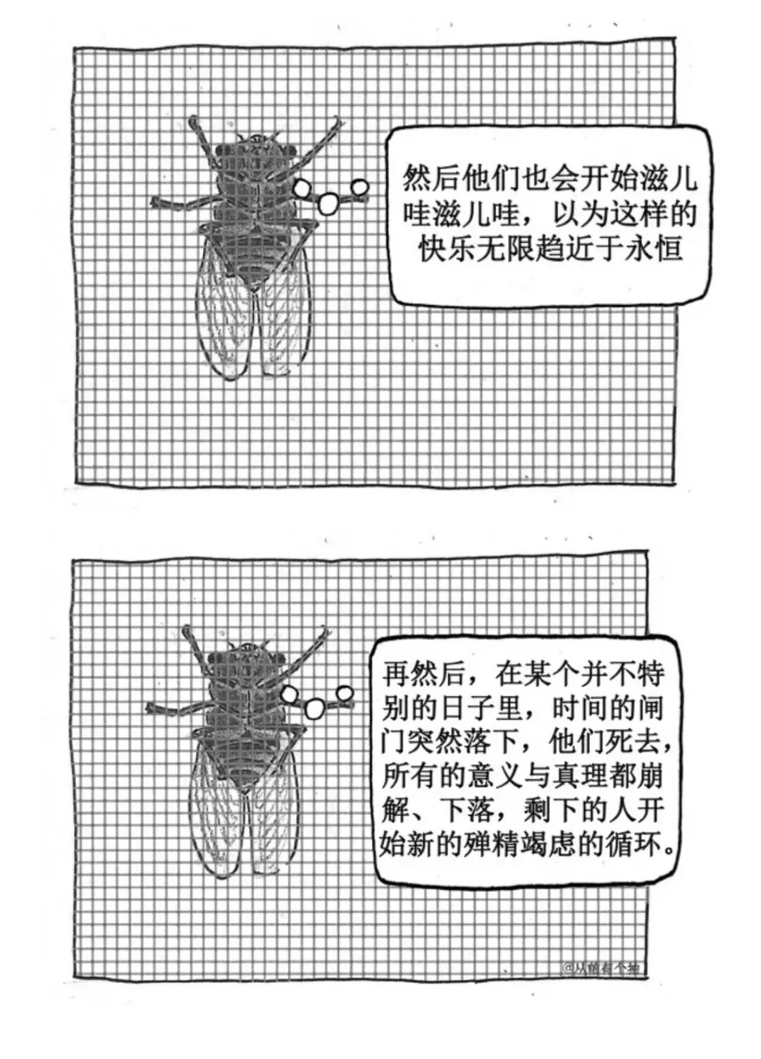 一只蝉忽然想到了生命