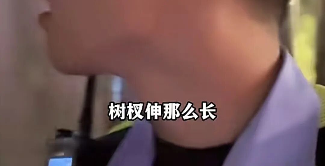上海一司机驾车撞树直喊冤，坚持“树全责”：唯独这棵树歪太多，树杈伸那么长；交警：就你一辆车出事故；网友：树不会动，人不会看吗？