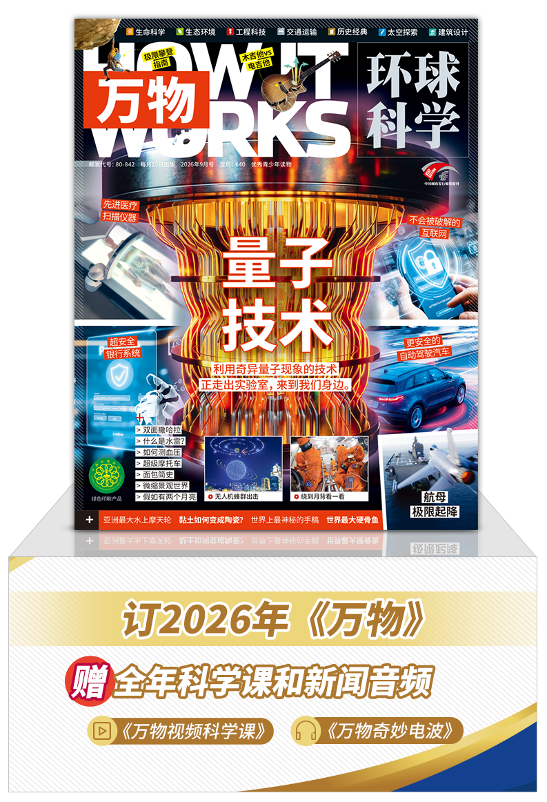 61岁女子平板支撑5小时打破世界纪录:“爱到不行,每天都得撑俩小时”|万物周报