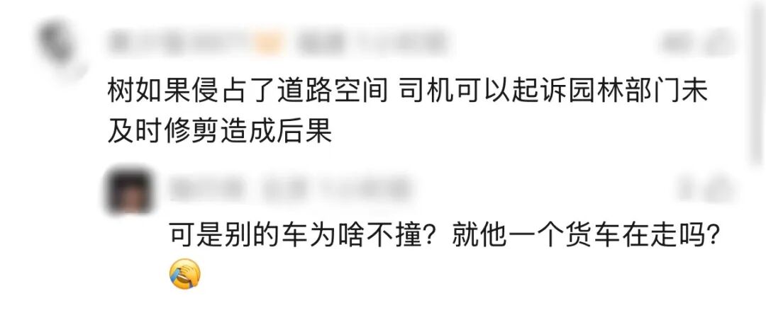 上海一司机驾车撞树直喊冤，坚持“树全责”：唯独这棵树歪太多，树杈伸那么长；交警：就你一辆车出事故；网友：树不会动，人不会看吗？