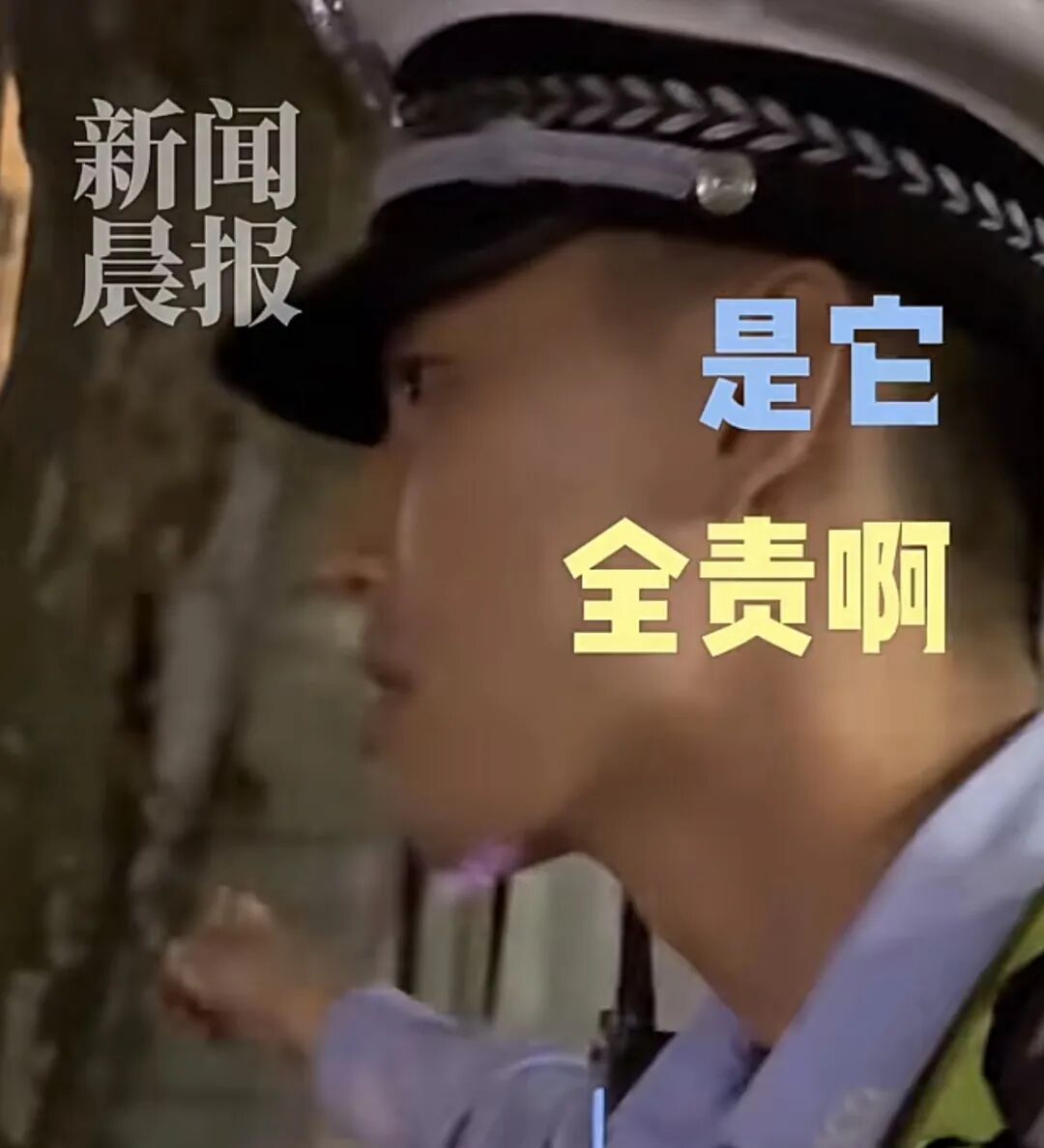上海一司机驾车撞树直喊冤，坚持“树全责”：唯独这棵树歪太多，树杈伸那么长；交警：就你一辆车出事故；网友：树不会动，人不会看吗？