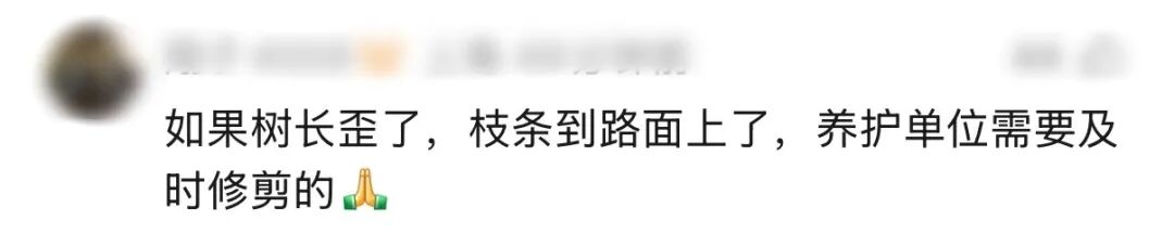 上海一司机驾车撞树直喊冤，坚持“树全责”：唯独这棵树歪太多，树杈伸那么长；交警：就你一辆车出事故；网友：树不会动，人不会看吗？