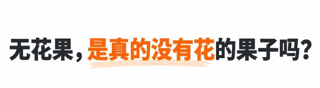 一掰开就惊艳，秋天这种水果，好看又好吃