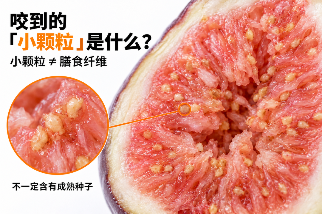 一掰开就惊艳，秋天这种水果，好看又好吃