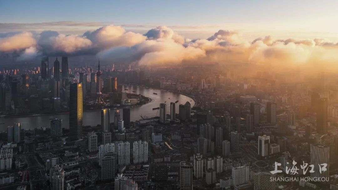 AI护航、数据增信，虹口推出全球航贸供应链服务平台，组建航运金融新联盟