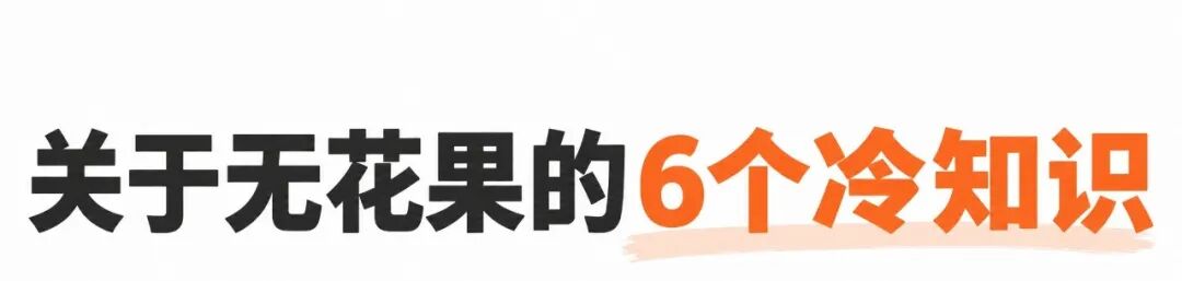 一掰开就惊艳，秋天这种水果，好看又好吃