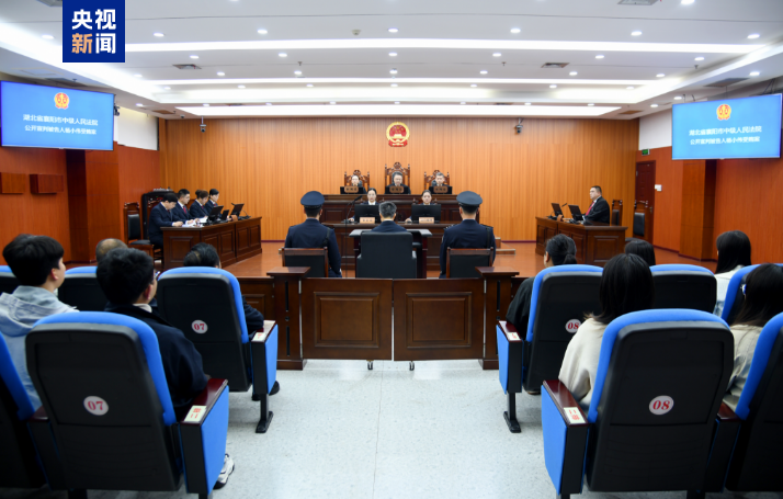 十四届全国政协教科卫体委员会原副主任杨小伟，一审被判12年