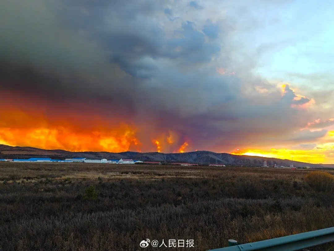 蒙古国大火系日籍高管违规垂钓引发，越野车排气管卷入干草、高温自燃；公司CEO公开道歉，蒙古国当局：追责到底