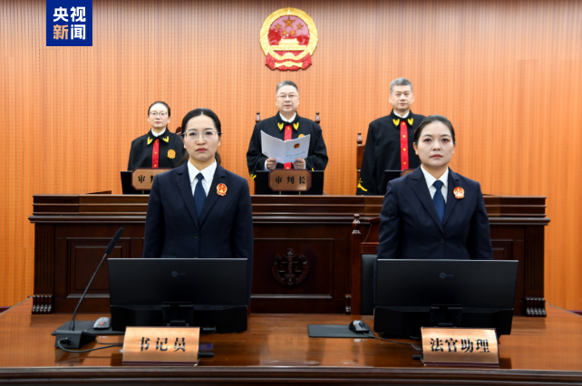 十四届全国政协教科卫体委员会原副主任杨小伟，一审被判12年
