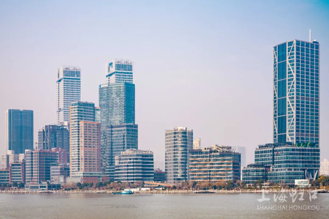 AI护航、数据增信，虹口推出全球航贸供应链服务平台，组建航运金融新联盟