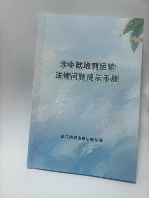 “钢铁驼队”护航人