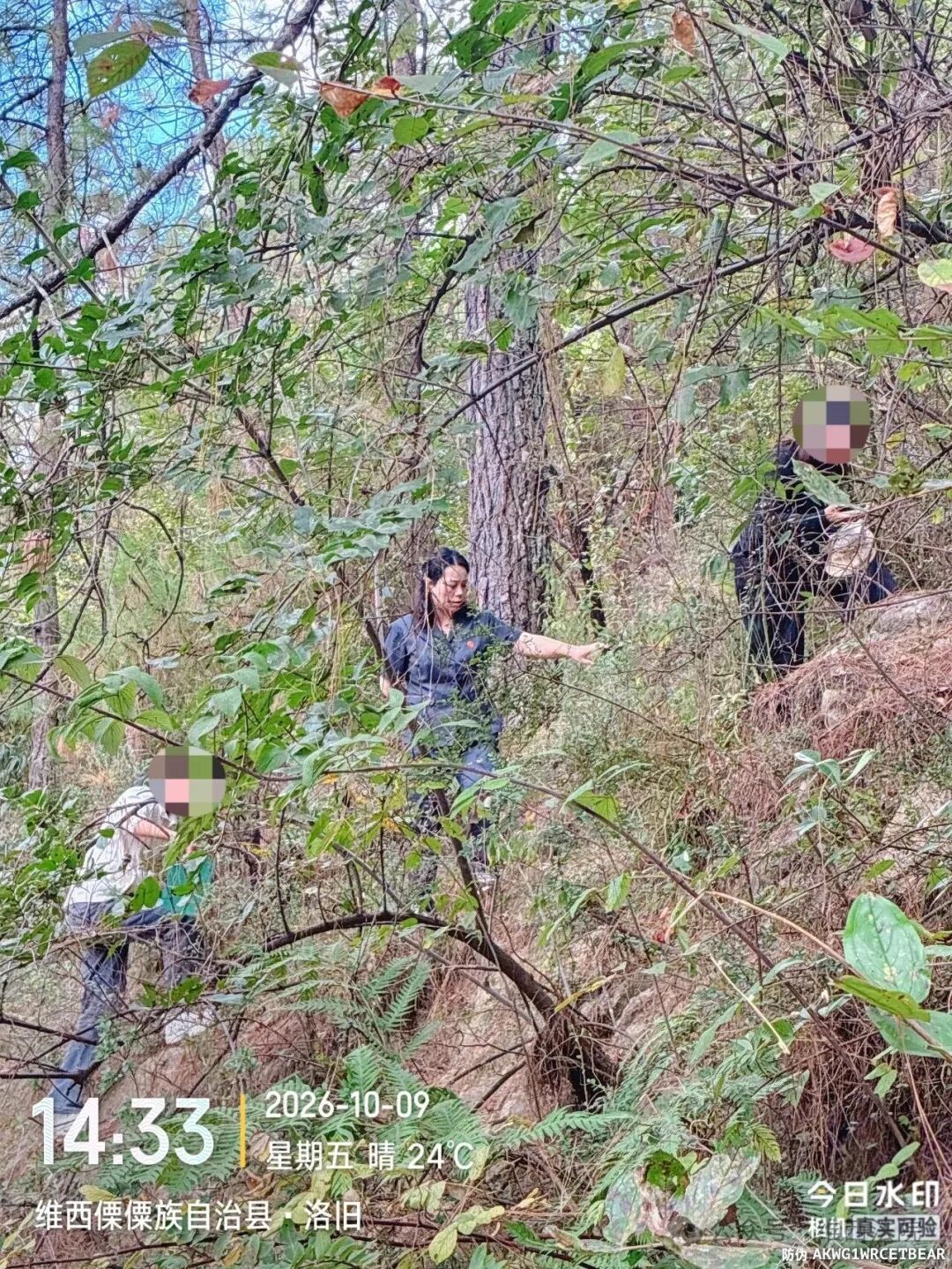 现场勘界巧调解 土地矛盾终化解