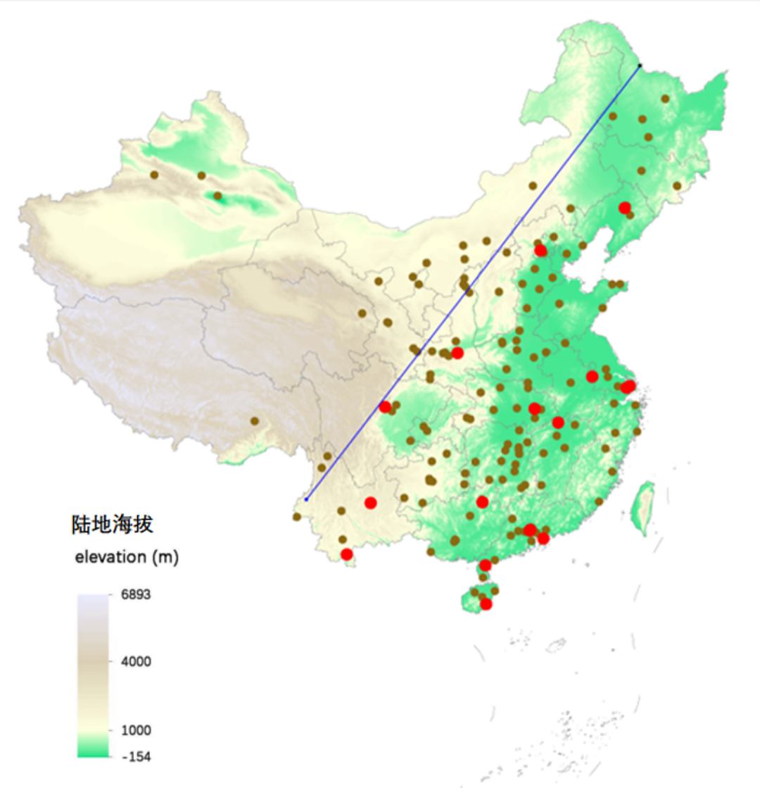 【历久弥新的植物园】草木为邻，自然共生——国家植物园系列开篇